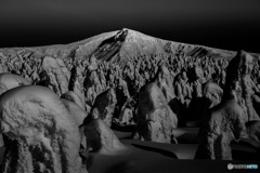 IMG_0009