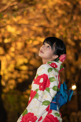 祇園の夜
