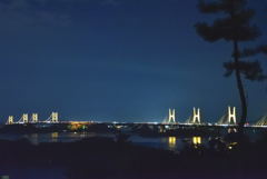 鷲羽山Pからの瀬戸大橋。