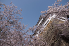 城を見上げると