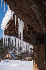 白川郷ツララ