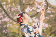 嵐山と桜の記憶６