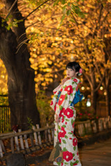 祇園の夜に舞う