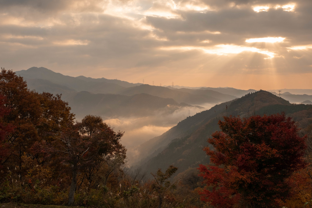 紅葉の山に