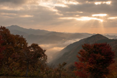 紅葉の山に