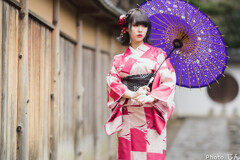 着物の美４