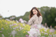 秋桜と美女２