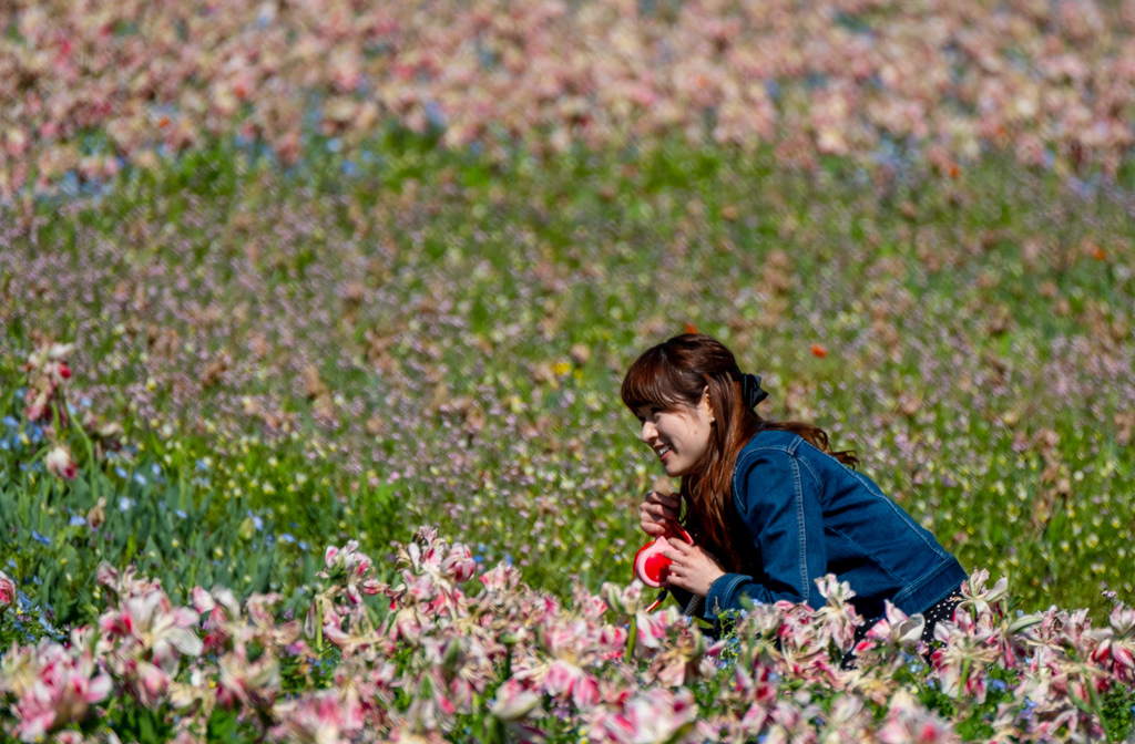 花に埋もれて。