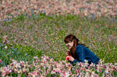 花に埋もれて。