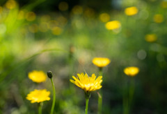 ある日の思い出