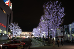 出張の夜　大井町
