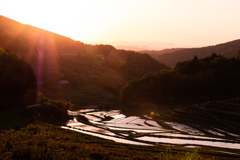 美咲町大垪オオハガの棚田
