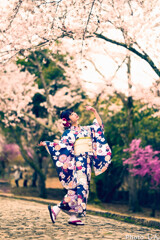 桜と舞う