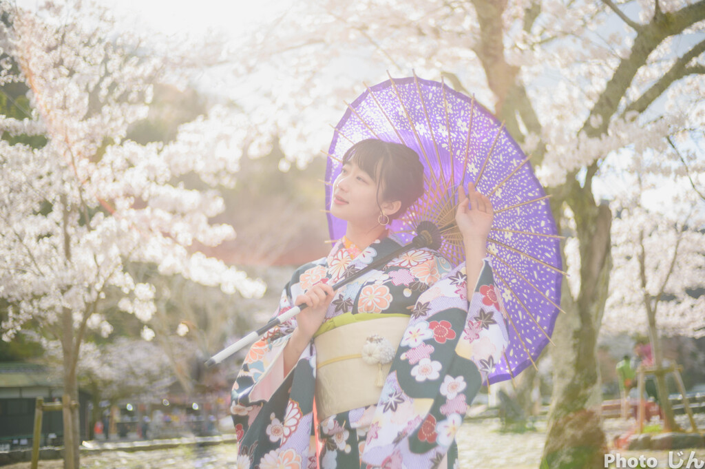 桜への想い２