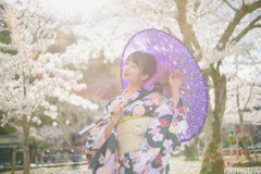 桜への想い２