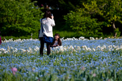 花の中では写真好き。