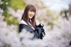 桜と私の夢