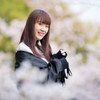 桜と私の夢