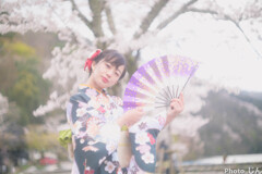 桜への想い３