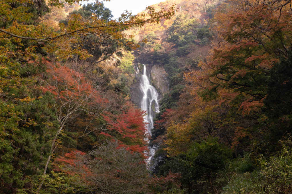 神庭の滝の秋２