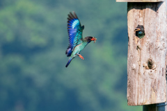 やっと食べれる？