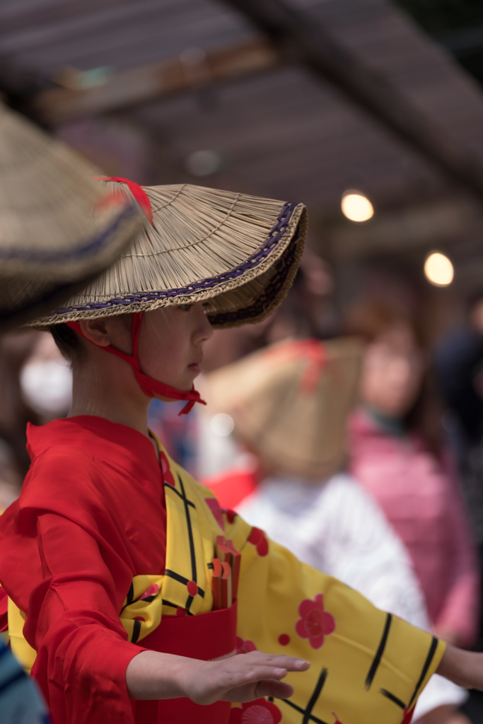 桜祭りの踊り子