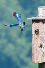 なんか様子が違う？