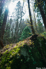 毛無山　山頂へ向けて