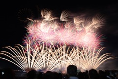 調布fireworks ⅲ