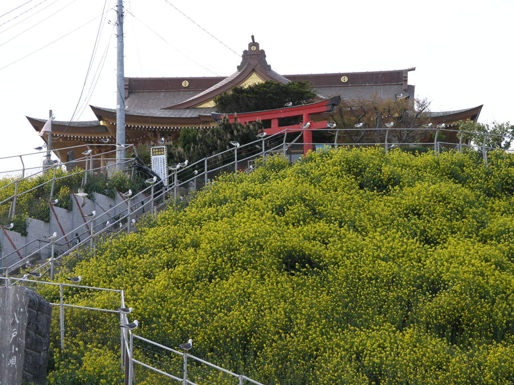 蕪島神社