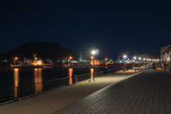 Night Harbor