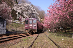 わたらせ渓谷鉄道