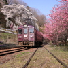 わたらせ渓谷鉄道