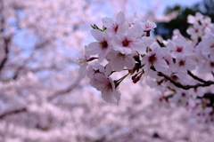 8DDE91F9-893B-4ED2-B645-79CA80358DBB