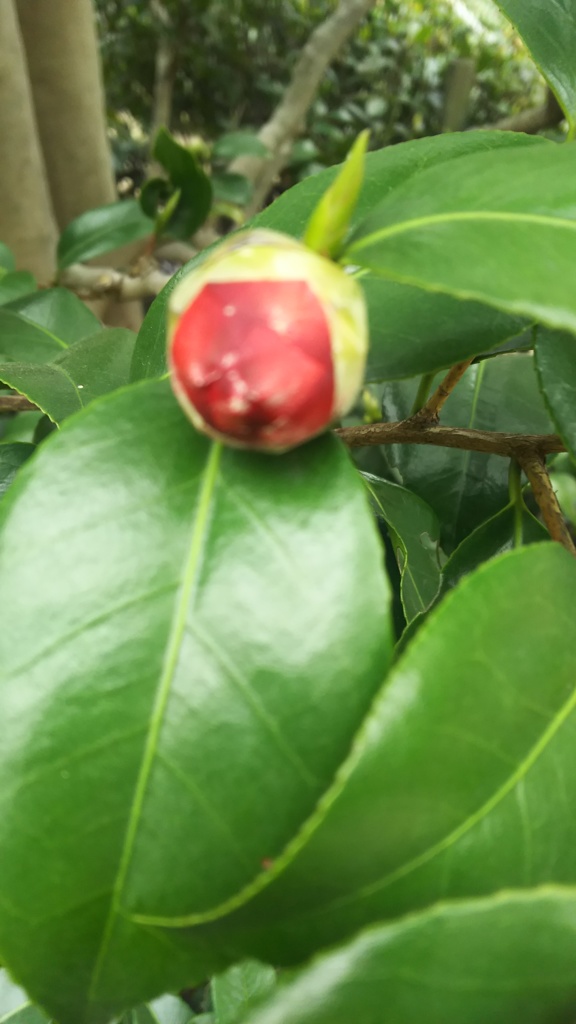あと一歩