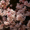 光/陰