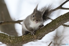 元気に^^がんばっているよ^^