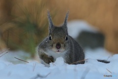 ねえ^^こっちに^^おいでよ^^