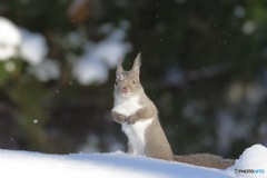 あけましておめでとうございます^^