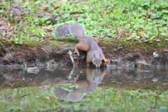 水 飲まなきゃ