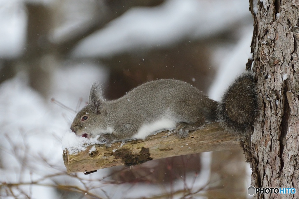 のどの渇きに^^ゆき^^