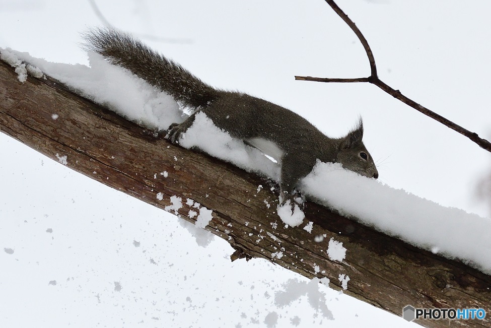 雪で!!進みずらそうです^^