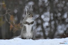 あっちがいいかな？