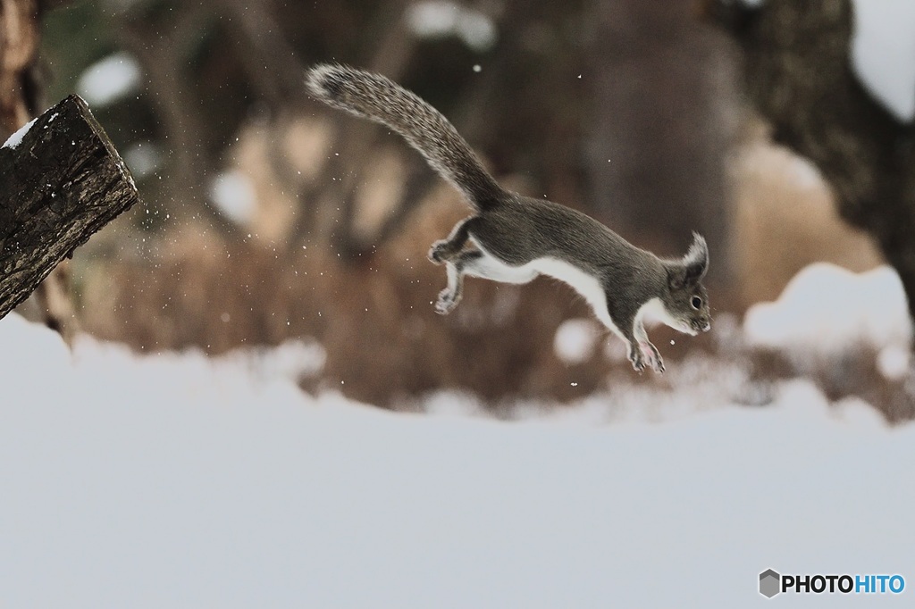 飛んだ^^つもりがー^^
