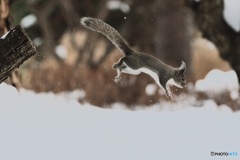 飛んだ^^つもりがー^^