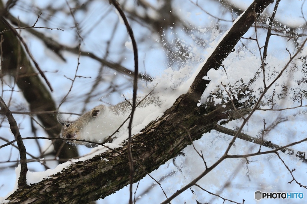 ラッセル^^しながらー^^すすむよー^^