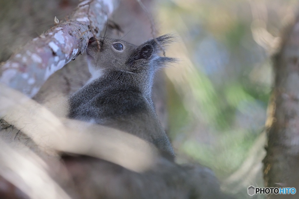 春の^^におい^^するよ^^