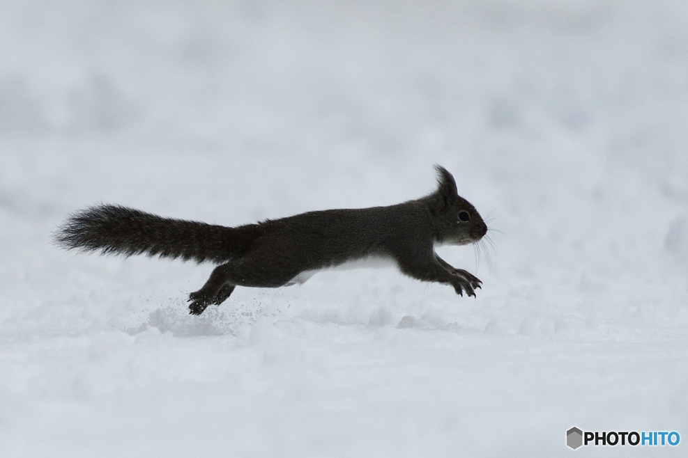 ぜーんぶ^^雪でーす^^