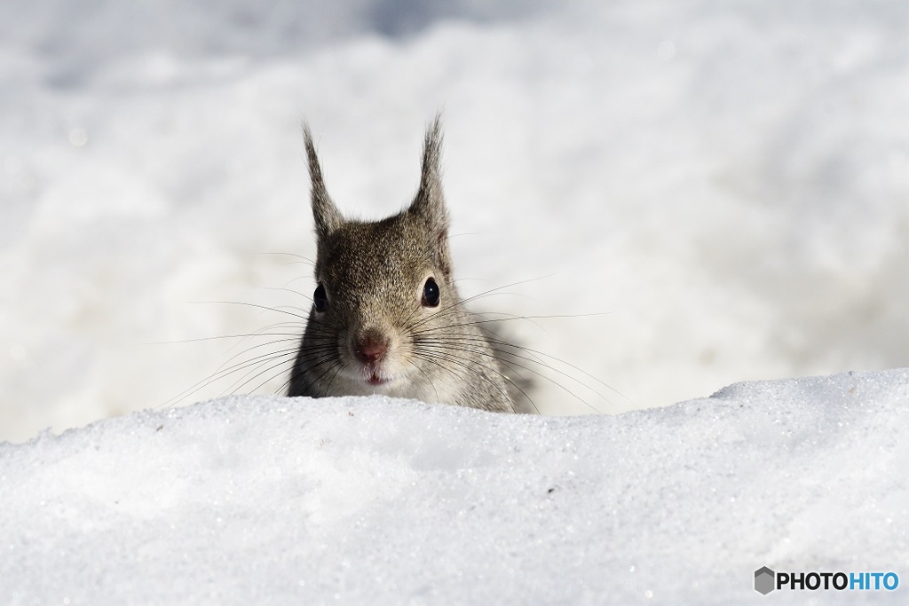 まだまだ雪は降るよ^^