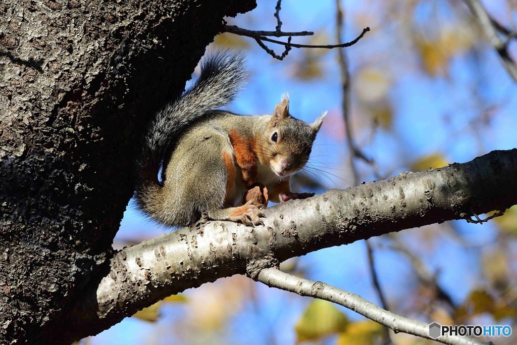 もうすぐ冬になるよ^^